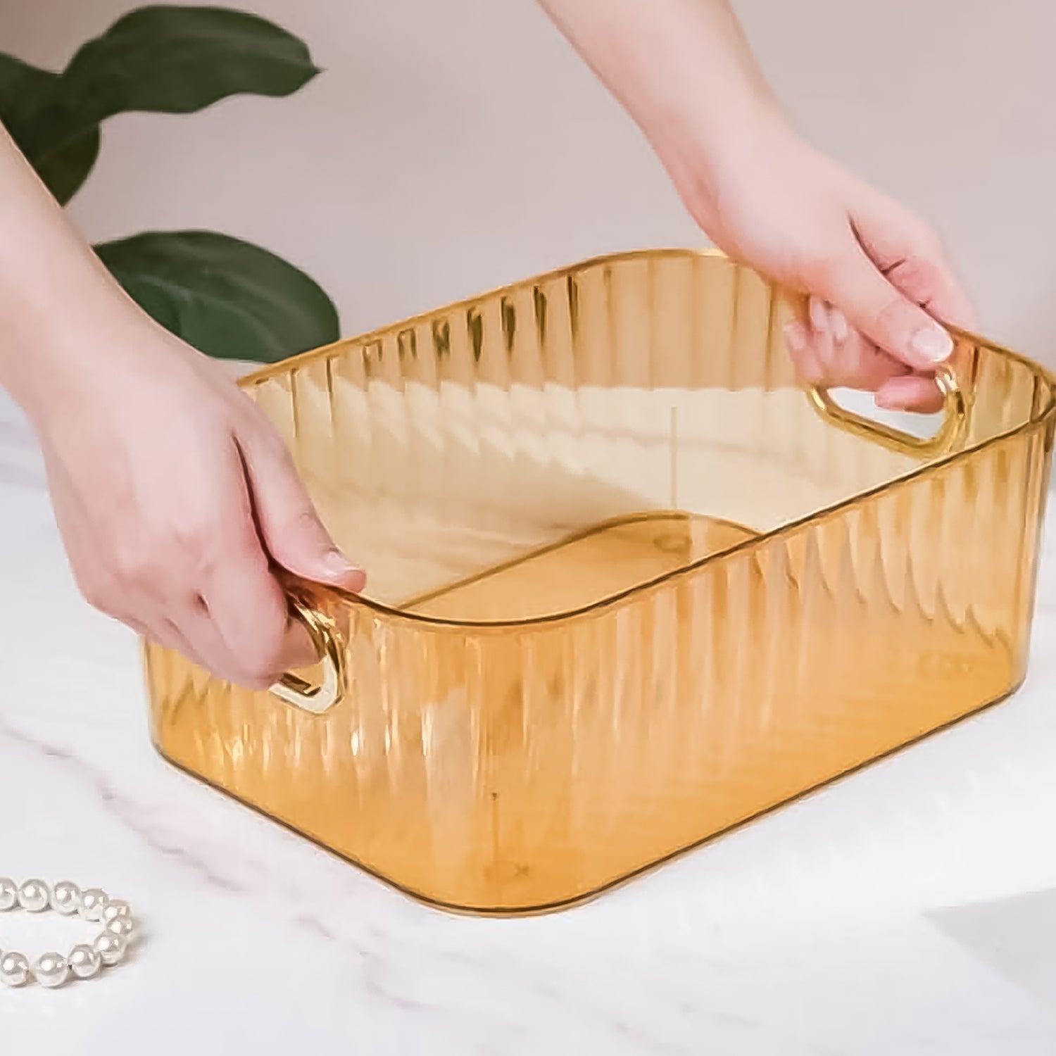 Multipurpose Transparent Storage Basket Multipurpose Transparent Storage Basket